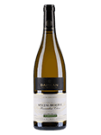 Barkan Winery : Special Reserve Chardonnay 2016