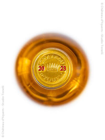 Château d'Yquem 2023