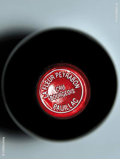 Château La Fleur Peyrabon 2009