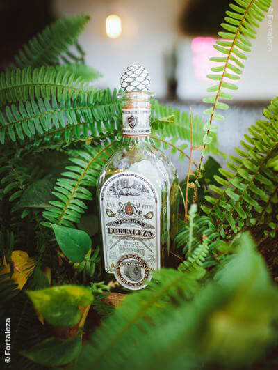 Fortaleza : Reposado