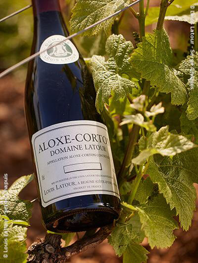 Louis Latour : Aloxe-Corton Village "Domaine Latour" 2020