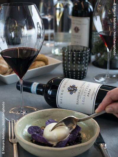 Mauro Molino : Barbera d'Alba Superiore Le Gattere 2020