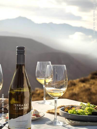 Terrazas de los Andes : Chardonnay 2022
