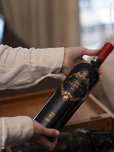 Viñedo Chadwick 2023