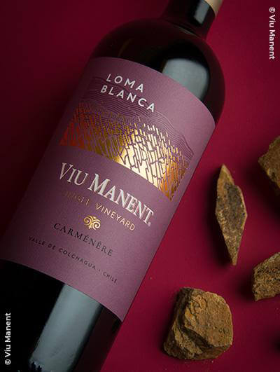 Viu Manent : Loma Blanca Single Vineyard Carménére 2018