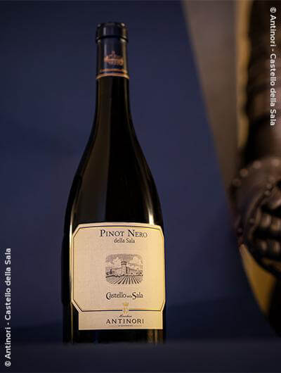 Antinori - Castello della Sala : Pinot Nero 2020