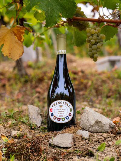 Taylor's : Principal Grande Reserva White 2016