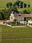 Château Montrose 1995