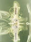 Perrier-Jouët : Blanc de Blancs GreenBox + 2 Champagne flutes