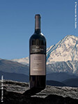 Terrazas de los Andes : Grand Malbec 2020