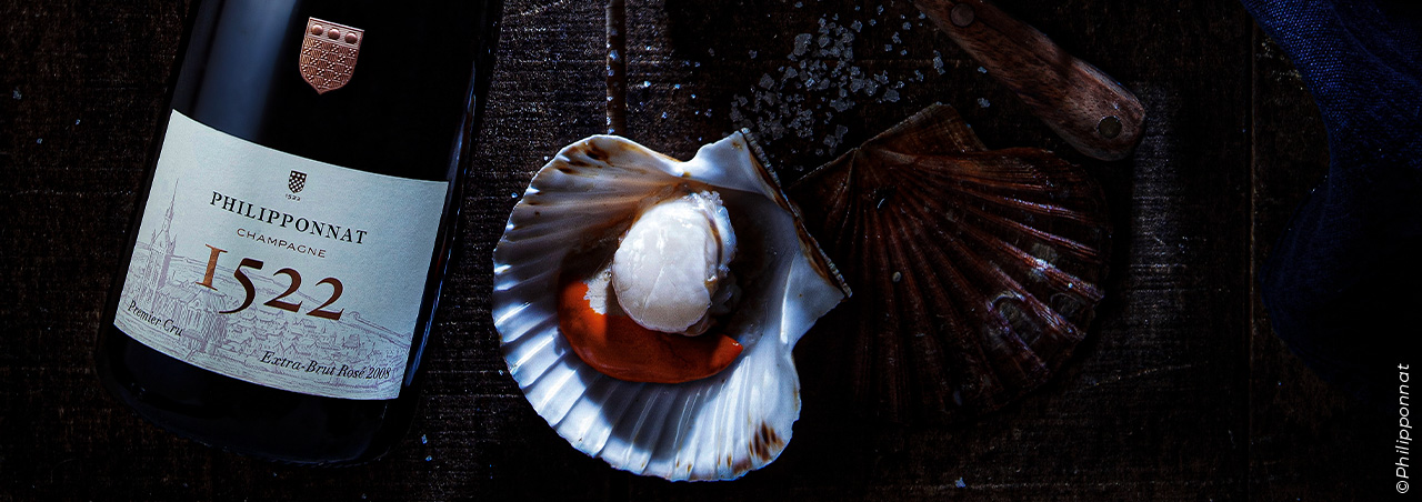 Photographie de coquilles Saint-Jacques accompagnées d'une bouteille de Philipponnat Rosé