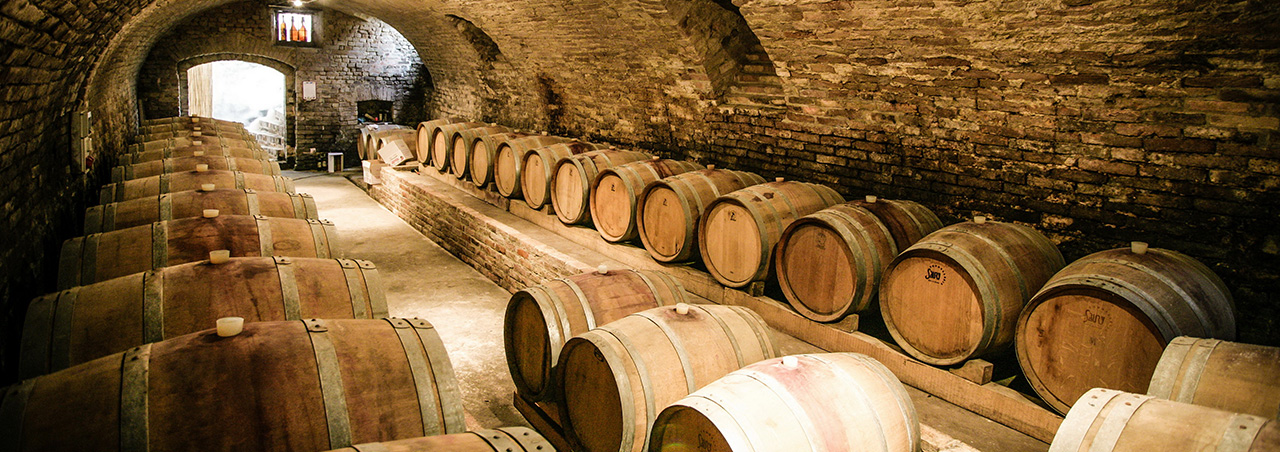 Barolo, Italien - Oktober 2016: Historischer Weinkeller in Langhe im italienischen Piemont, mit Barriques für die Reifung der Rotweine