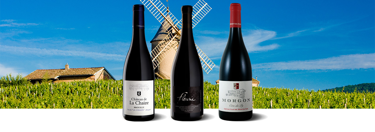 Beaujolais – Frankreichs am meisten unterschätztes Terroir-Juwel