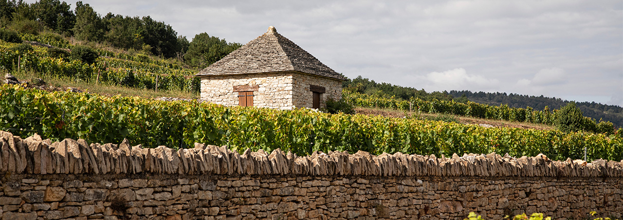 Burgund-Guide: Ihr Wegweiser zum perfekten Wein