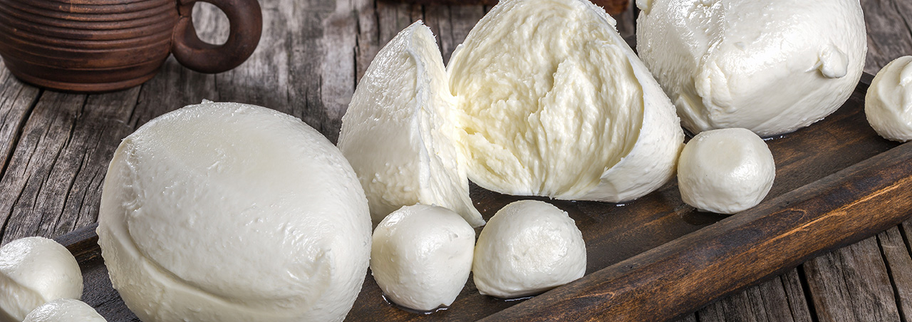 burrata