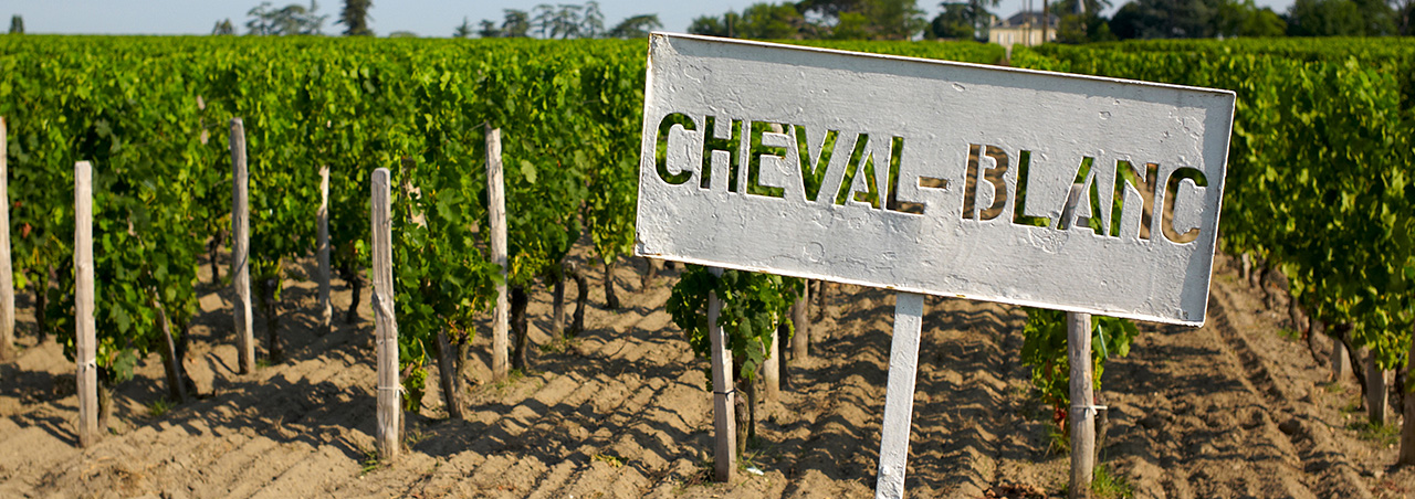 Aufnahme von Chateau Cheval Blanc-Schild vor Weinberg in Saint Emilion am rechten Bordeaux-Ufer