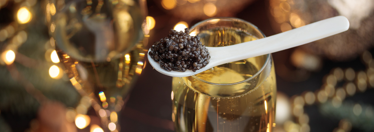 Champagner trifft Haute Cuisine: raffinierte Pairings für Feinschmecker
