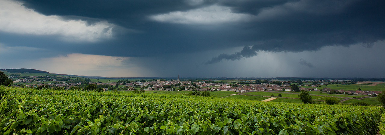 Sommergewitter über Meursault in der Bourgogne