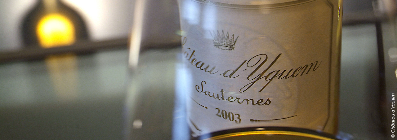 Nahaufnahme von Château d'Yquem-Flasche, Sauternes 2023. Im Vordergrund ein gefülltes Glas Weinglas mit gold-gelbem Sauternes-Wein