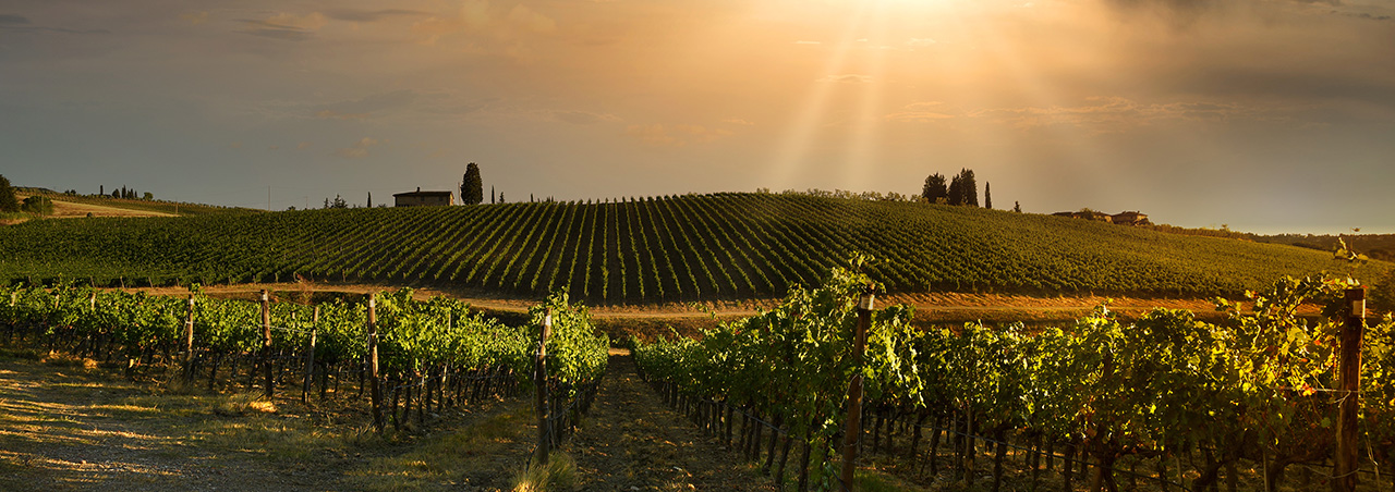 Mythos Chianti: Warum das ‚Classico‘ den Unterschied macht