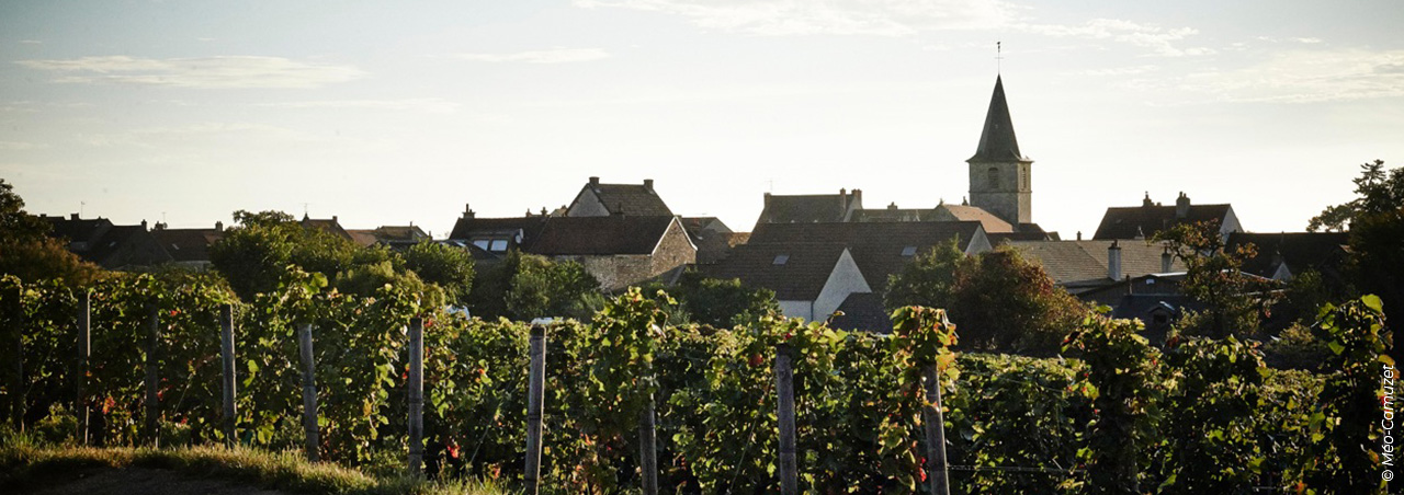 Une photographie du vignoble de Méo-Camuzet, offrant une vue sur le village.