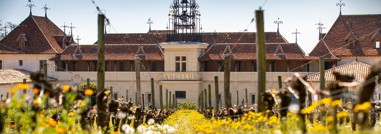 © Deepix - Château Angélus, Premier Grand Cru Classé A in Saint-Emilion im Frühjahr 2020