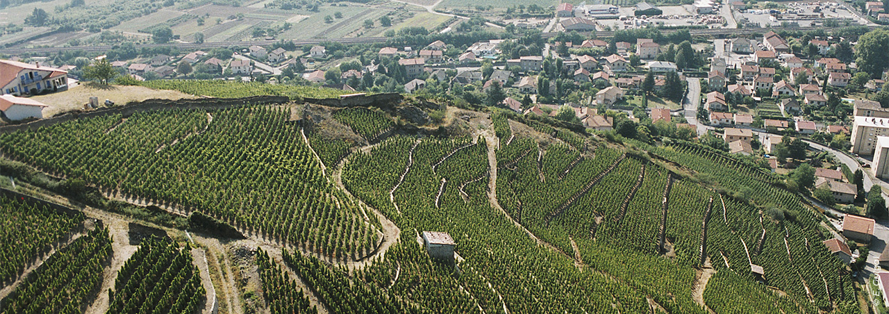 Une photographie du vignoble de la maison E. Guigal, prise du ciel.