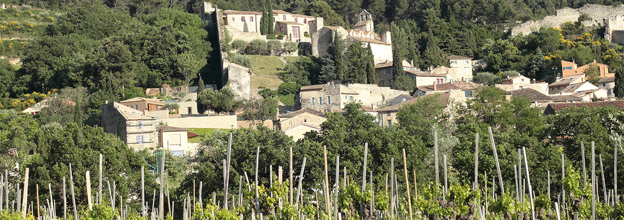 Weinberge in der Appellation Gigondas an den Ausläufern der Dentelles de Montmirail