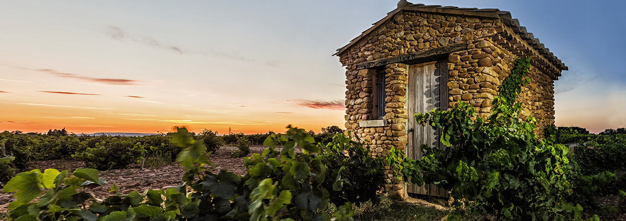 Domaine de Beaucastel im Weinbaugebiet Châteauneuf-du-Pape im südlichen Rhônetal