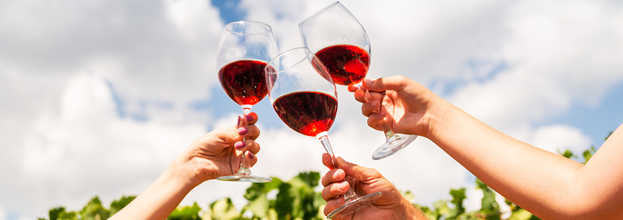 Drei gefüllte Rotweingläser werden gen Himmel gehalten, im Hintergrund Weinberg und sommerlicher Himmel mit weissen Wolken