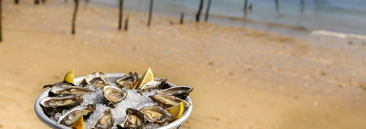 Austern-Teller auf Eis angerichtet, im Hintergrund die Bucht von Arcachon, Südwestfrankreich