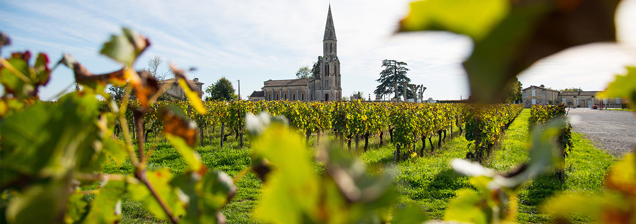 Pomerol für Sammler: 3 Geheimtipps mit hohem Preis-Genuss-Verhältnis