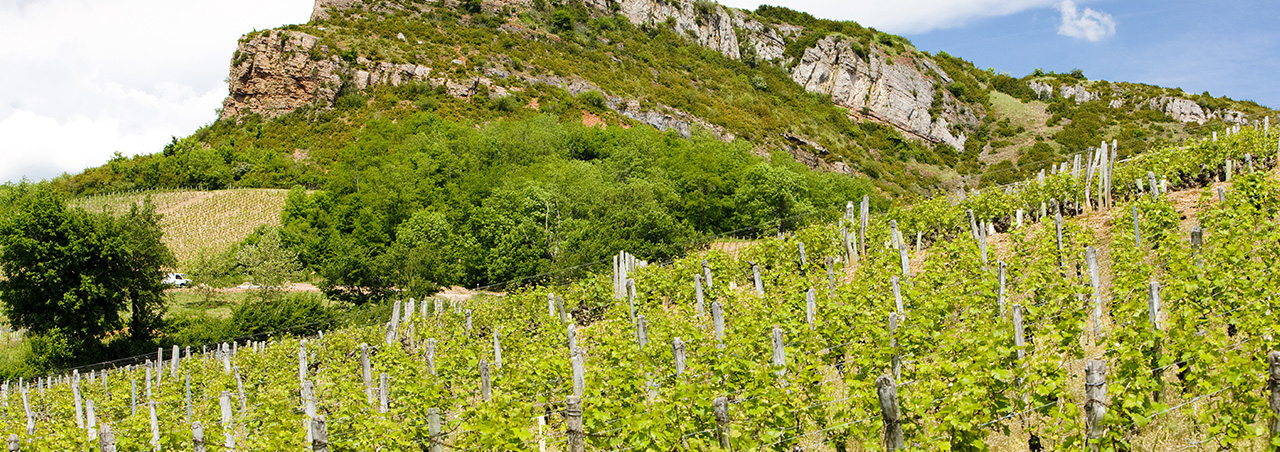 La Roche de Solutré mit Weinbergen in Burgund, Frankreich