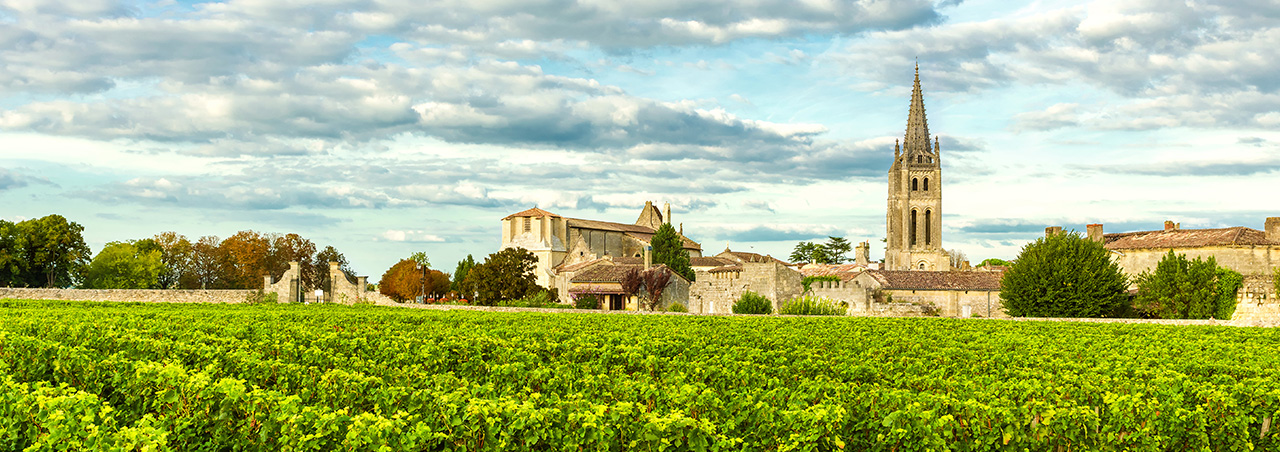 Photo von Weinreben im Weinbaugebiet Saint-Emilion