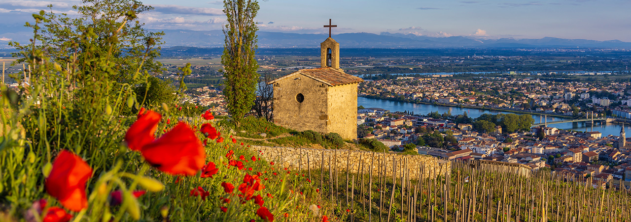 Berühmter Grand Cru mit Blick auf die Chapelle Saint-Christophe in Tain l'Hermitage, Rhône-Alpes, Frankreich