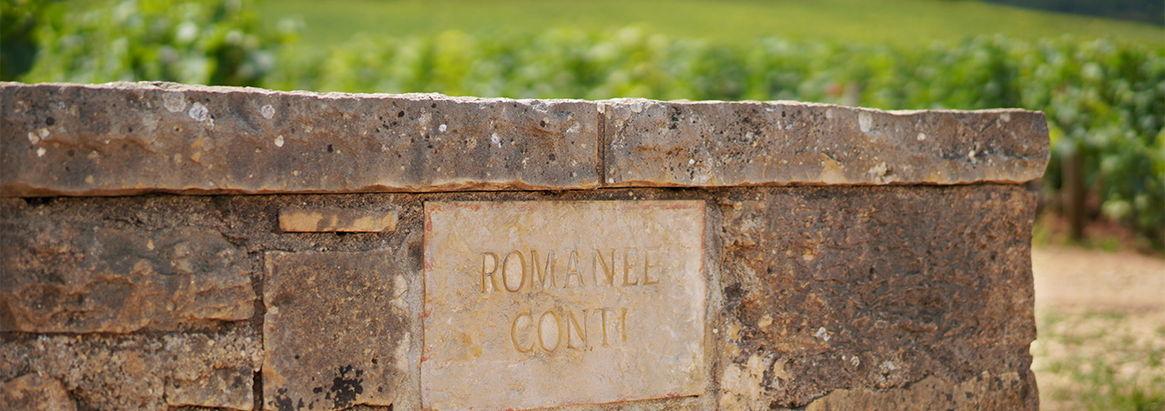 Romanée Conti Weinberge im französischen Burgund