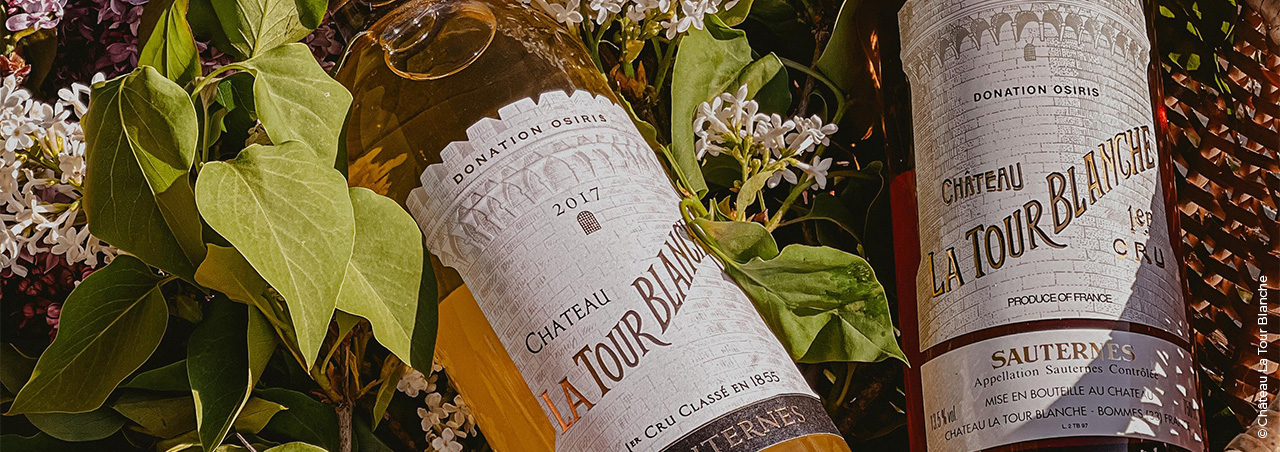 Bouteilles de Château La Tour Blanche dans un panier