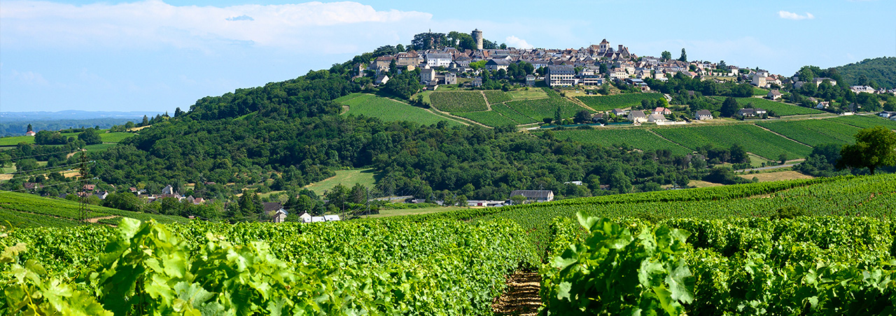 Sancerre Weinberge im westfranzösischen Loire-Tal