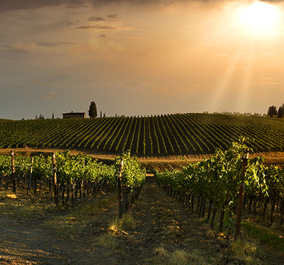 Mythos Chianti: Warum das ‚Classico‘ den Unterschied macht