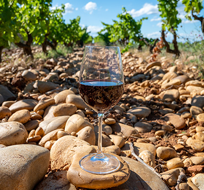 Was ist eine Cuvée? Ein deutsch-französischer Vergleich