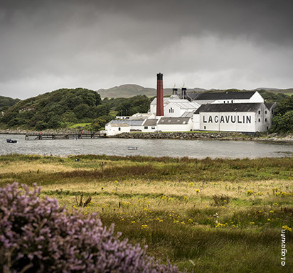 lagavulin-distillerie