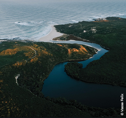 Best of Down Under: Die Spitzenweinbaugebiete Australiens