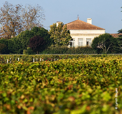 Die Weinregion Pauillac: Juwel des Bordeaux