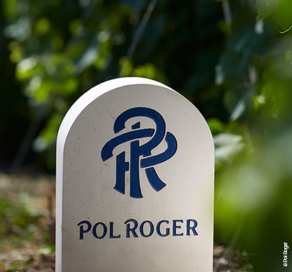 Pol Roger Champagner