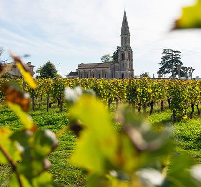 Pomerol für Sammler: 3 Geheimtipps mit hohem Preis-Genuss-Verhältnis