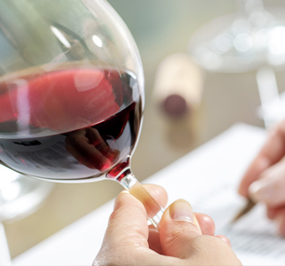 Bordeaux 2023: Die verschiedenen Weinprofile unter der Lupe