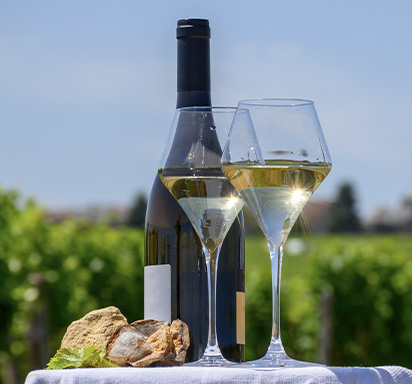 Sauvignon Blanc: Eine niemals langweilig werdende Rebsorte