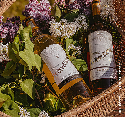 Bouteilles de Château La Tour Blanche dans un panier