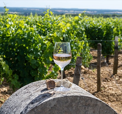Glas mit trockenem Pouilly-Fumé-Wein von der Loire. Im Hintergrund Weinberge.