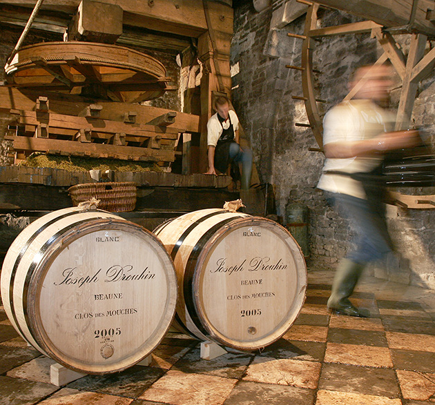 Holzfässer im Weinkeller des burgunder Weingut Joseph Drouhin, im Hintergrund Mitarbeiter vom Domaine